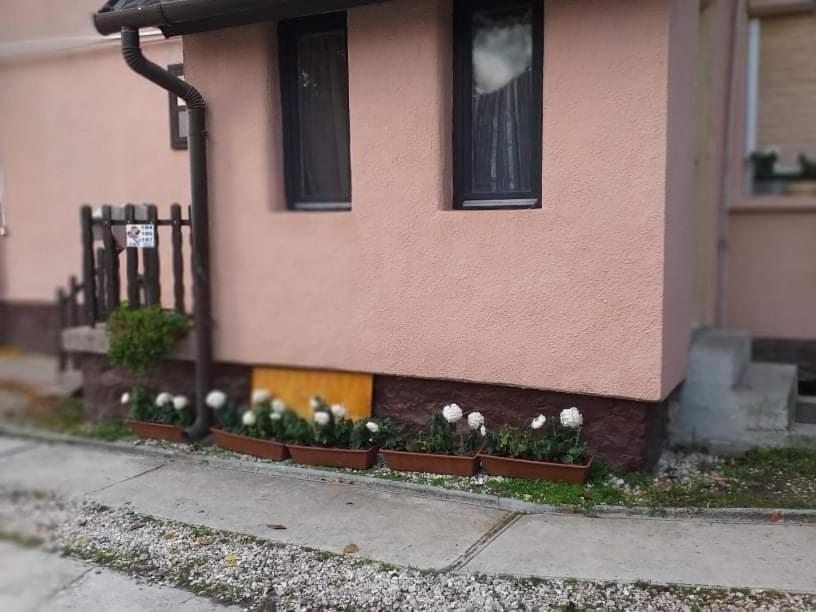 Malomtavi Vendeghaz Tapolca 호텔 외부 사진